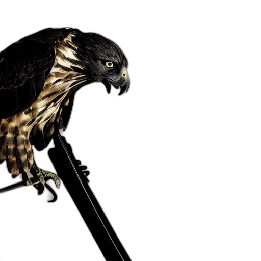 sword, staff, animal, weapon transparent PNG cut-out