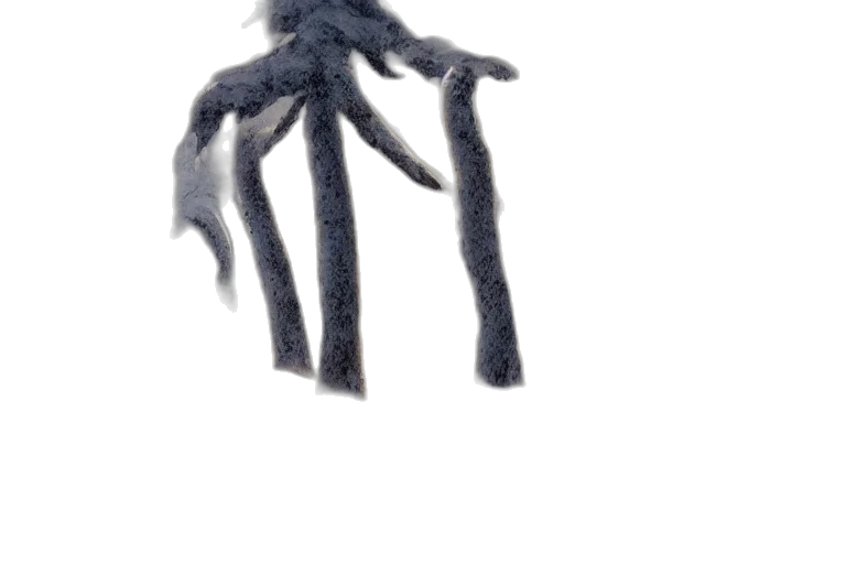 creature, hair, animal, mask transparent PNG cut-out