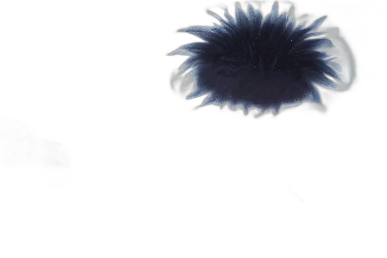 hair, hat, crown, mask transparent PNG cut-out