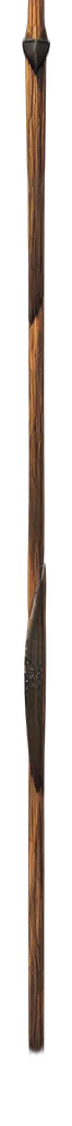 staff, sword, weapon, hair transparent PNG cut-out