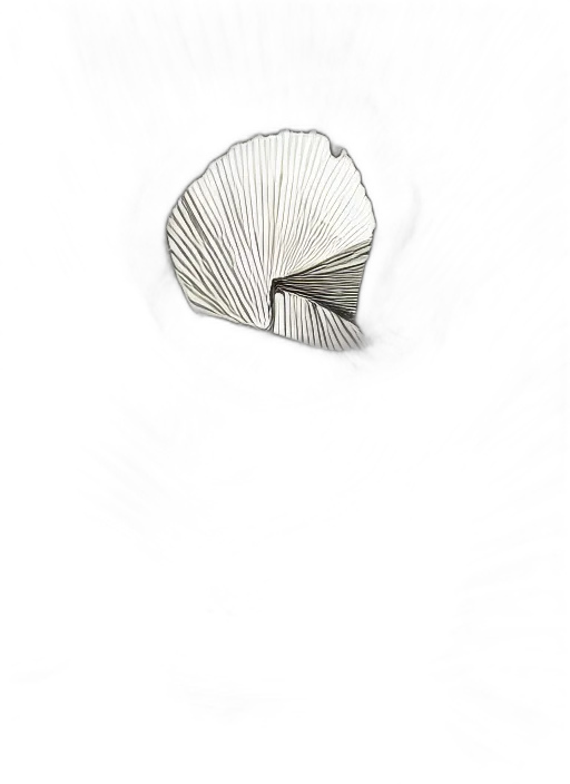 hair, hat, umbrella, jewelry transparent PNG cut-out