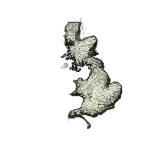 dragon, hair, animal, crown transparent PNG cut-out