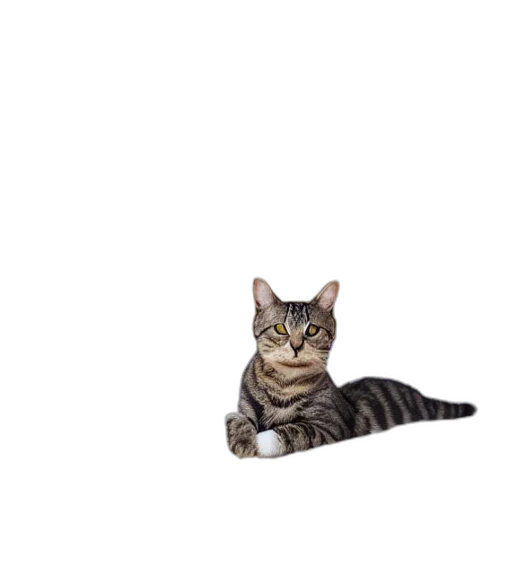 animal, staff, creature, robot transparent PNG cut-out