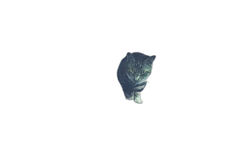 animal, creature, staff, robot transparent PNG cut-out