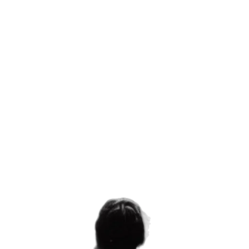 hat, hair, staff, crown transparent PNG cut-out