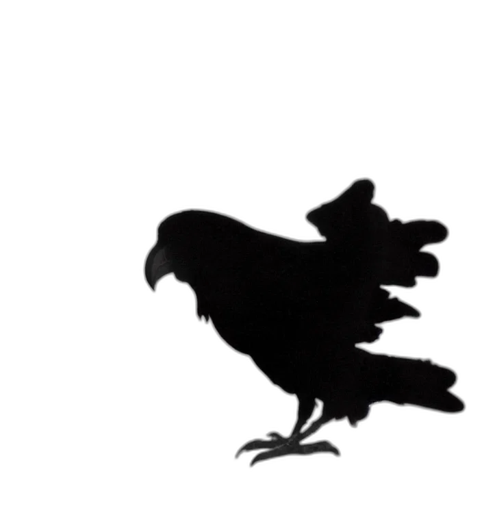 animal, crown, creature, food transparent PNG cut-out