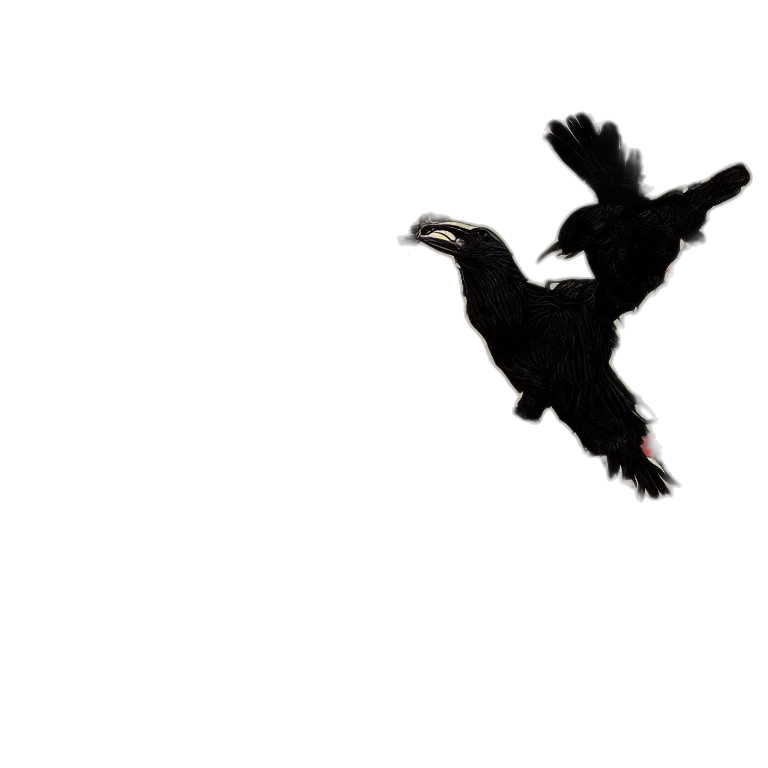 dragon, animal, creature, hair transparent PNG cut-out