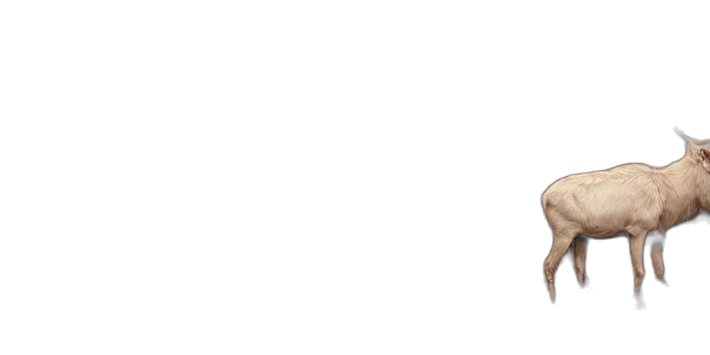 staff, face, monochrome, pastel transparent PNG cut-out