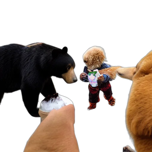 3d render, concept art, cool, bear transparent PNG cut-out