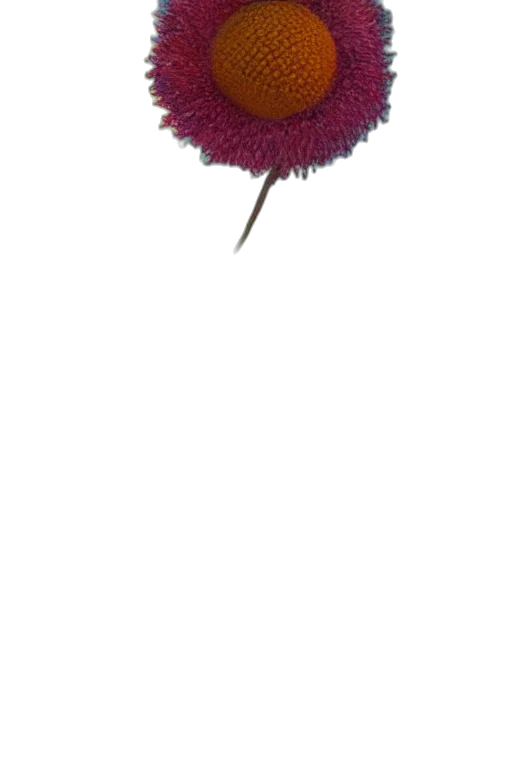 hat, flower, crown, staff transparent PNG cut-out