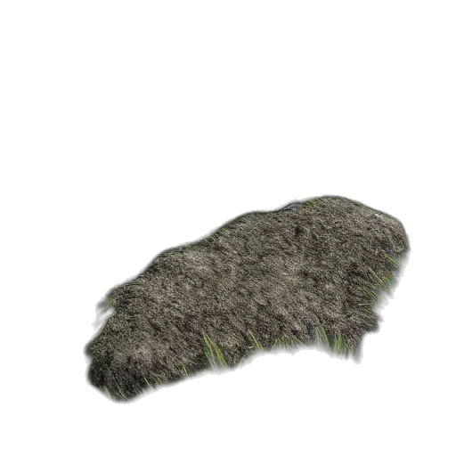 hat, hair, animal, shoes transparent PNG cut-out