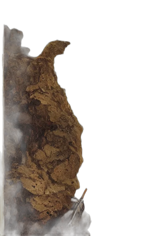 dragon, food, mask, staff transparent PNG cut-out