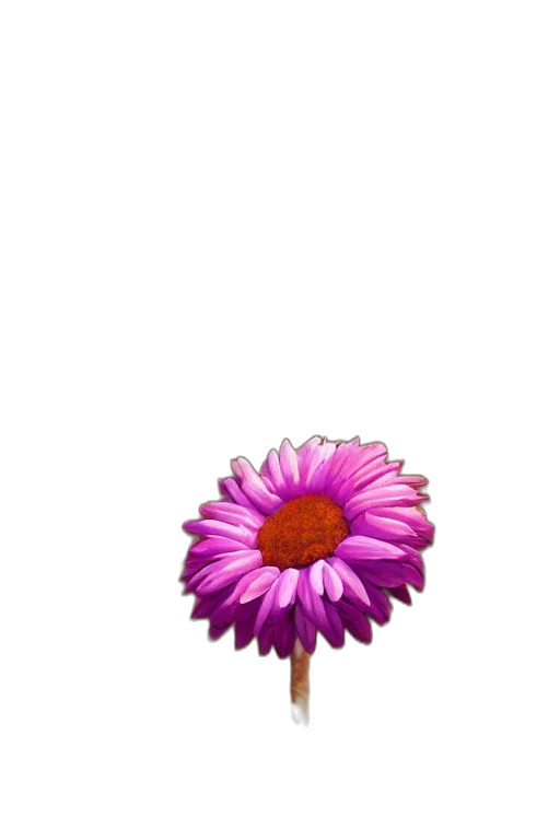 flower, crown, staff, umbrella transparent PNG cut-out