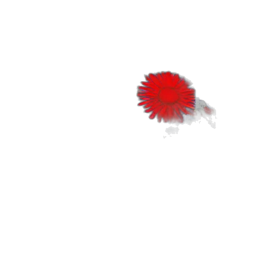 flower, hair, crown, weapon transparent PNG cut-out