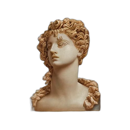 jewelry, crown, face, hair transparent PNG cut-out