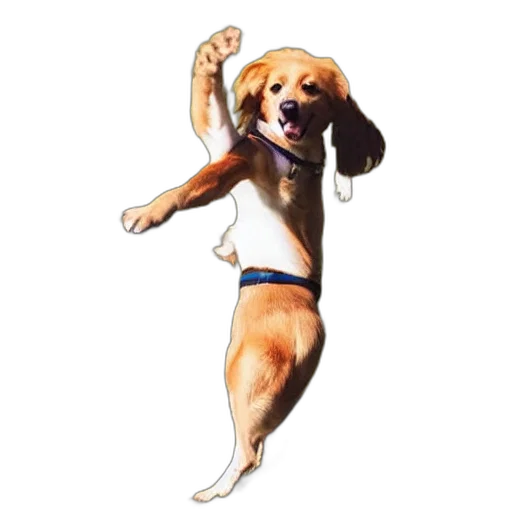 animal, staff, creature, photorealistic transparent PNG cut-out
