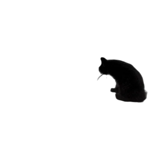 animal, creature, hat, staff transparent PNG cut-out