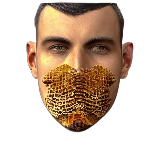 mask, face, creature, animal transparent PNG cut-out