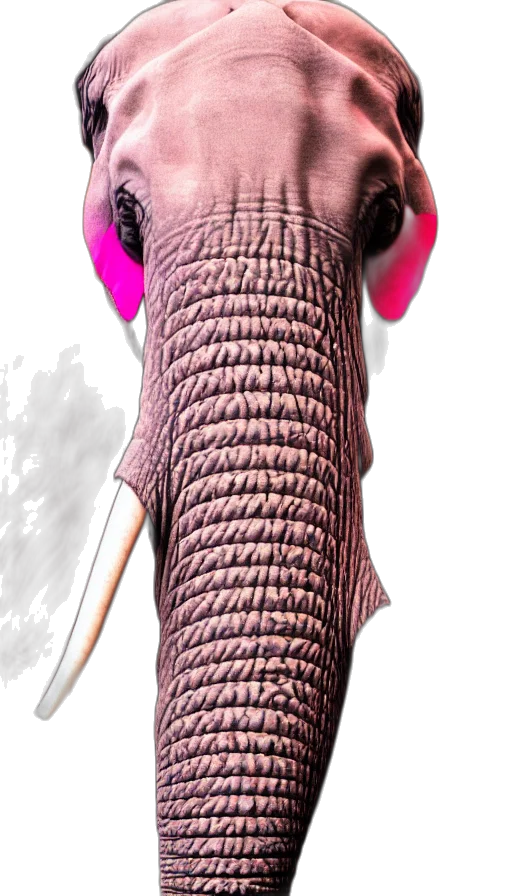 animal, creature, staff, face transparent PNG cut-out
