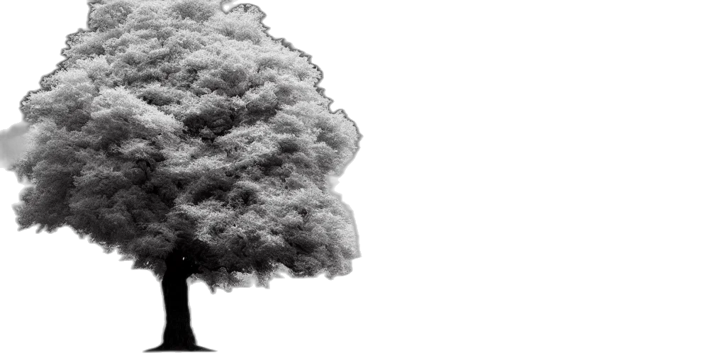 tree, umbrella, hair, crown transparent PNG cut-out