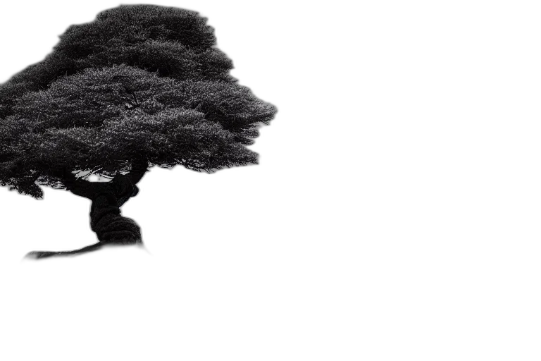 tree, hair, hat, crown transparent PNG cut-out