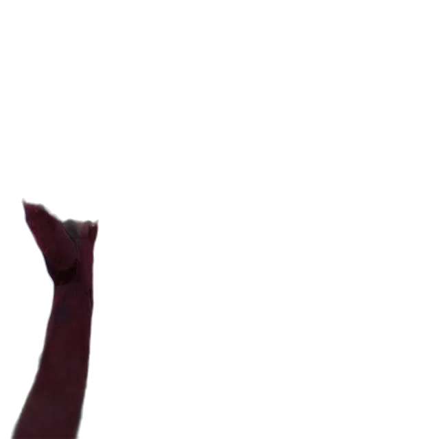 dress, staff, hair, creature transparent PNG cut-out