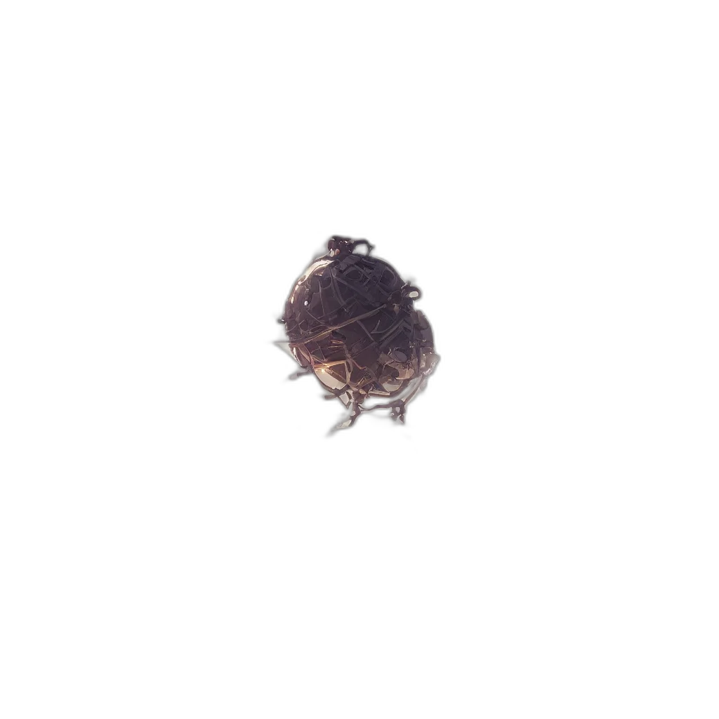 hair, crown, hat, animal transparent PNG cut-out