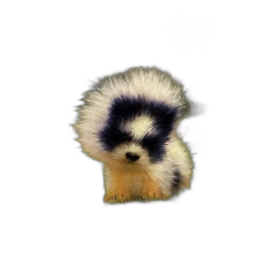 animal, hair, creature, staff transparent PNG cut-out