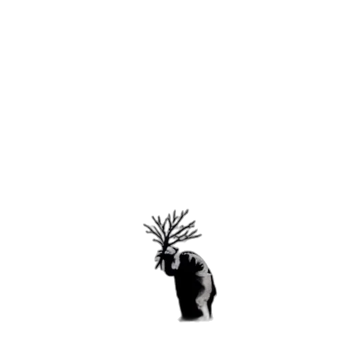 tree, creature, animal, hair transparent PNG cut-out