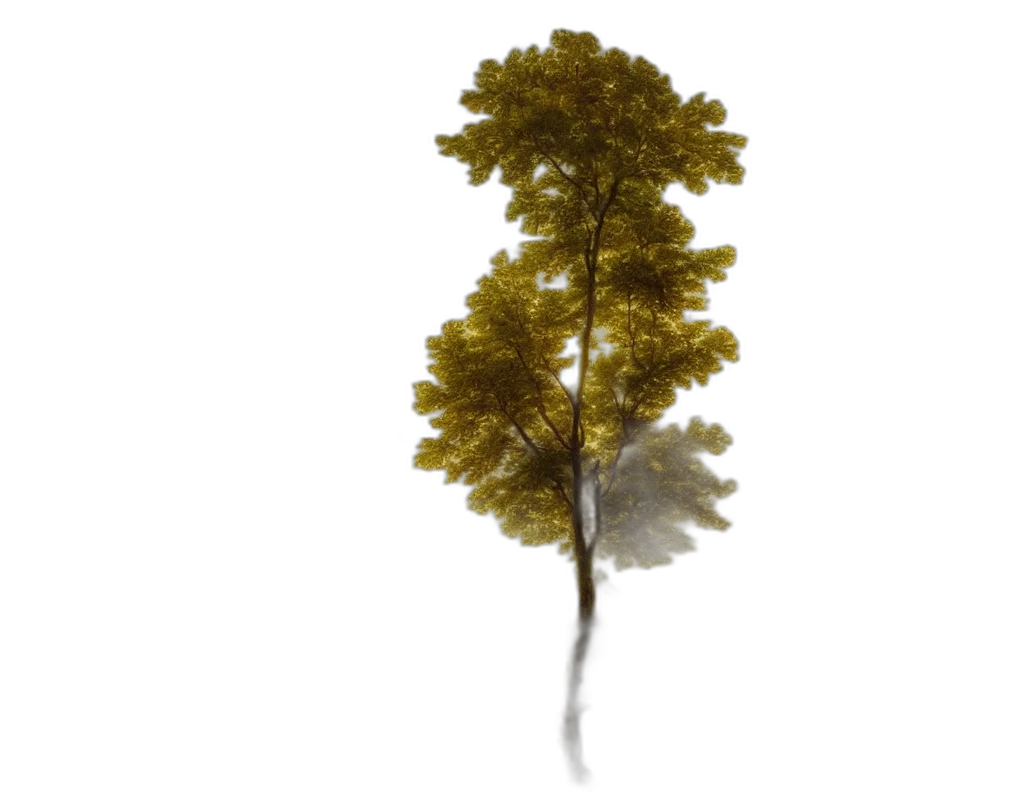 tree, crown, hair, staff transparent PNG cut-out