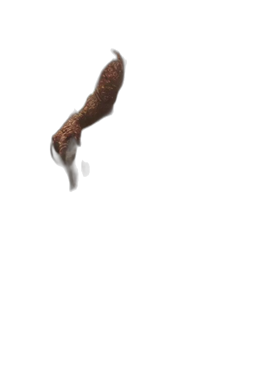 staff, creature, animal, hair transparent PNG cut-out