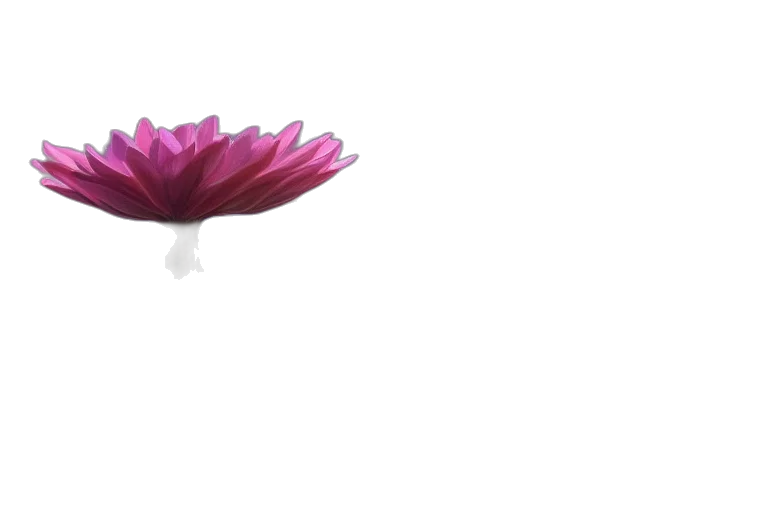 flower, crown, umbrella, jewelry transparent PNG cut-out