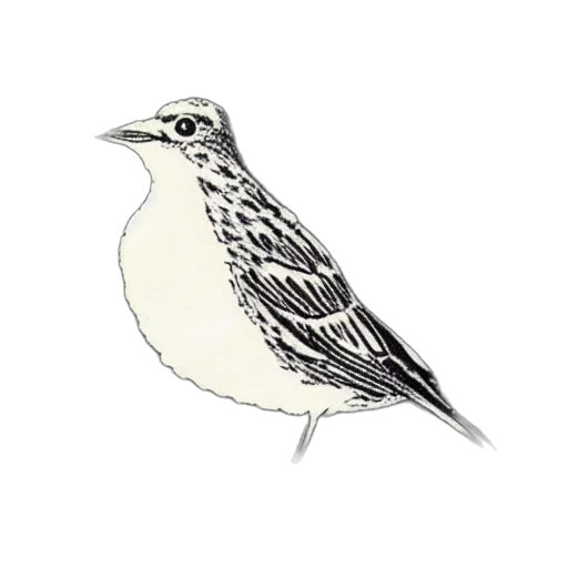animal, staff, crown, jewelry transparent PNG cut-out