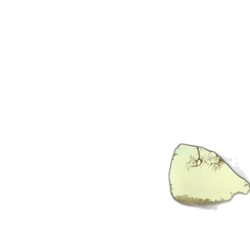 shoes, food, hair, hat transparent PNG cut-out