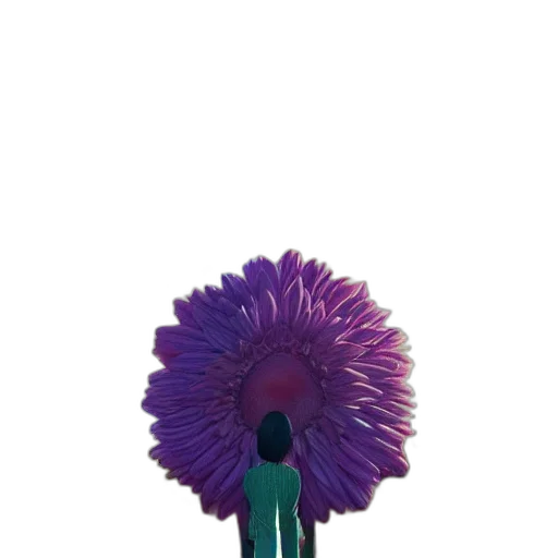 flower, hair, staff, umbrella transparent PNG cut-out