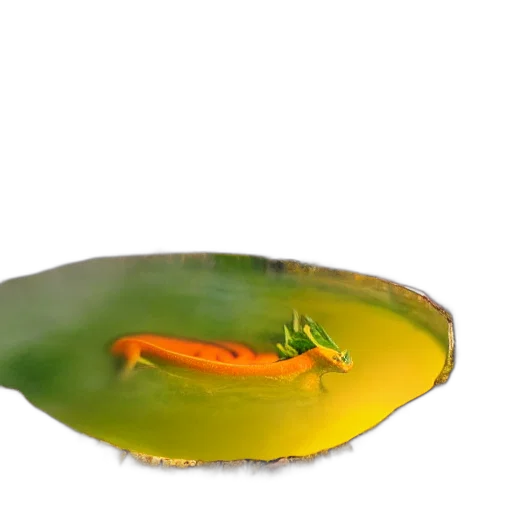 dragon, food, animal, creature transparent PNG cut-out