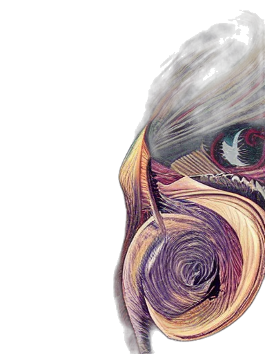 mask, face, hair, creature transparent PNG cut-out