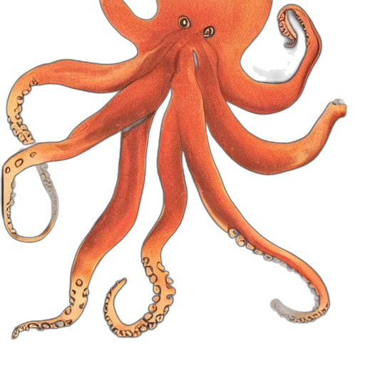 creature, animal, staff, crown transparent PNG cut-out