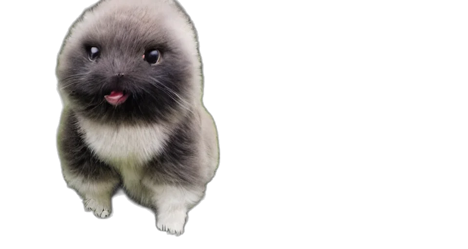 animal, creature, hair, face transparent PNG cut-out