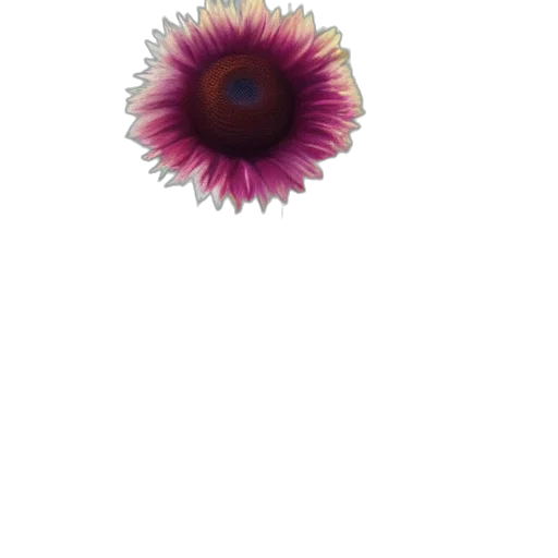 flower, jewelry, crown, staff transparent PNG cut-out