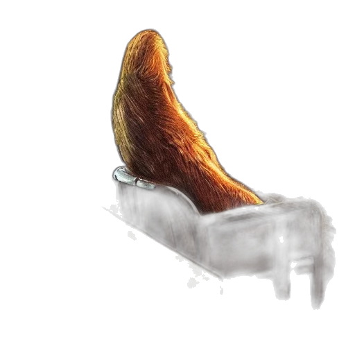 furniture, shoes, crown, food transparent PNG cut-out