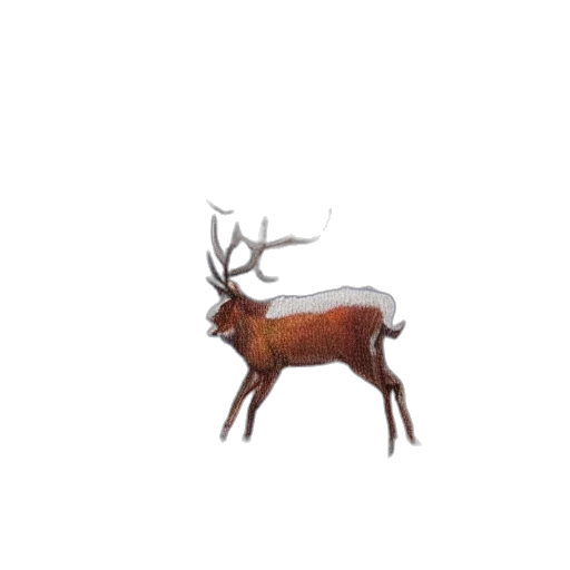 animal, creature, crown, furniture transparent PNG cut-out
