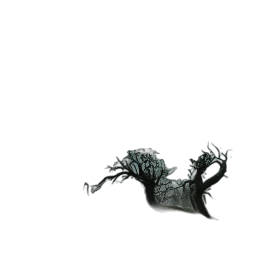 hair, dragon, creature, crown transparent PNG cut-out