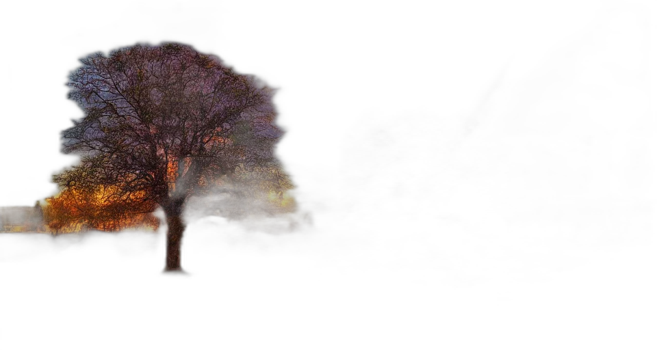 tree, umbrella, dress, robot transparent PNG cut-out