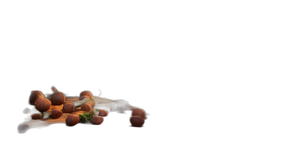 food, creature, animal, weapon transparent PNG cut-out