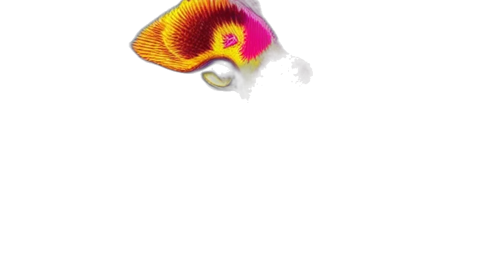 hat, jewelry, flower, animal transparent PNG cut-out