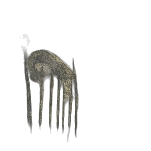 creature, animal, hair, mask transparent PNG cut-out