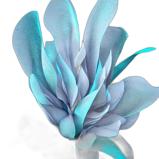 flower, jewelry, crown, hat transparent PNG cut-out