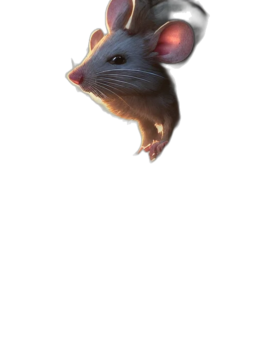 animal, creature, hat, staff transparent PNG cut-out
