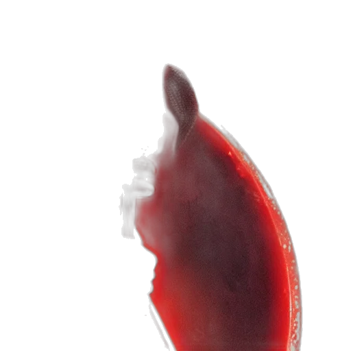 bottle, staff, food, hair transparent PNG cut-out